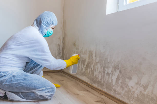 Licensed Commercial Mold Remediation service in Warfield, VA - WQB Mold Removal