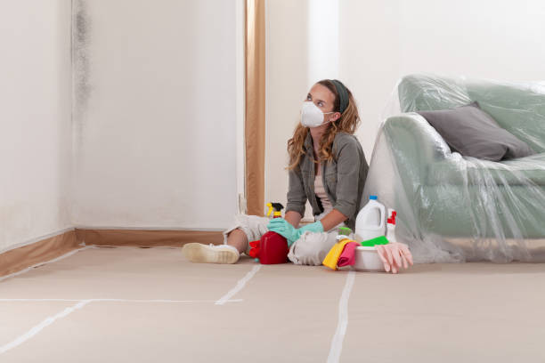 Reliable Commercial Mold Remediation contractor in Warfield, VA by WQB Mold Removal
